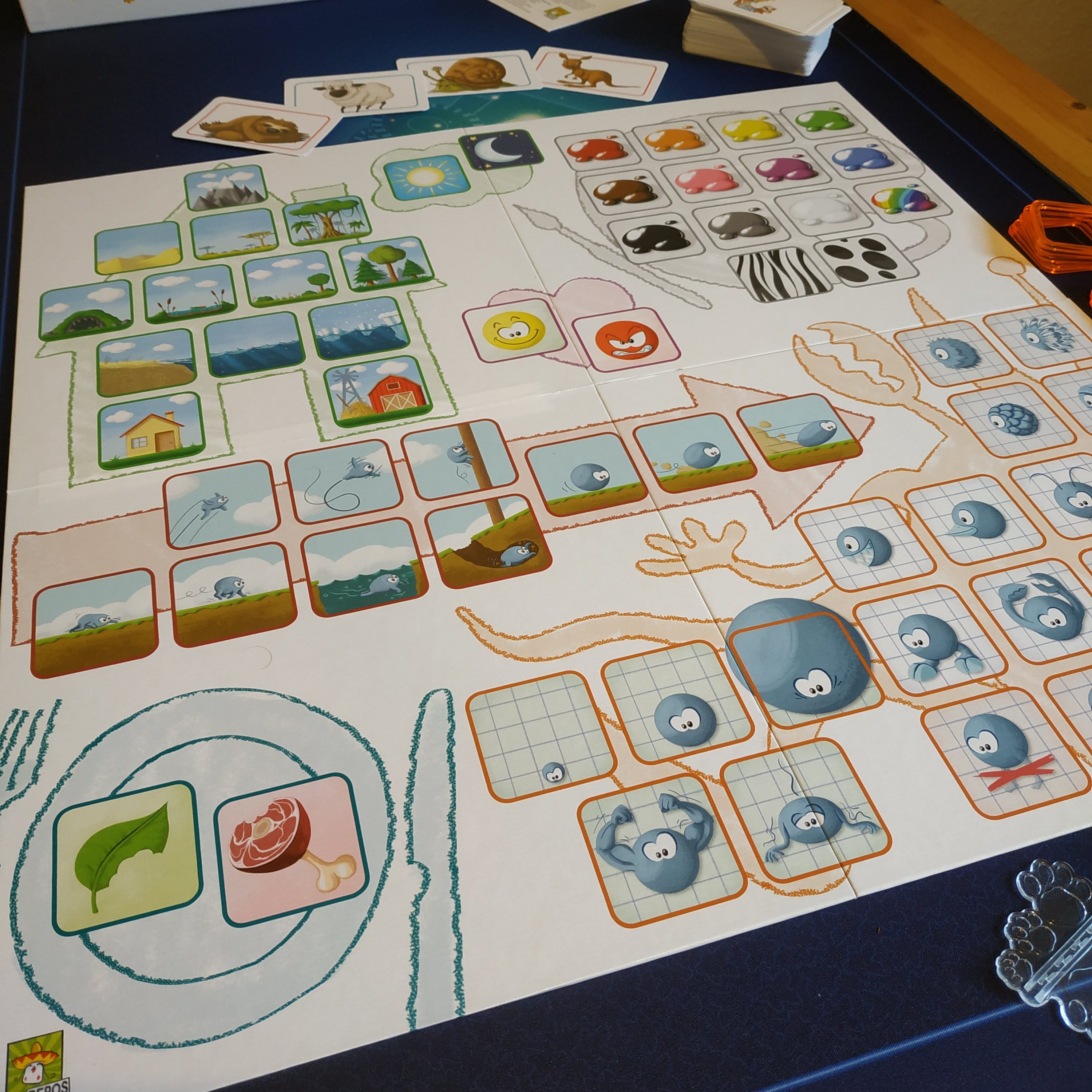 Squid Game A Partir De Quel âge Concept (2) – Plateau Marmots