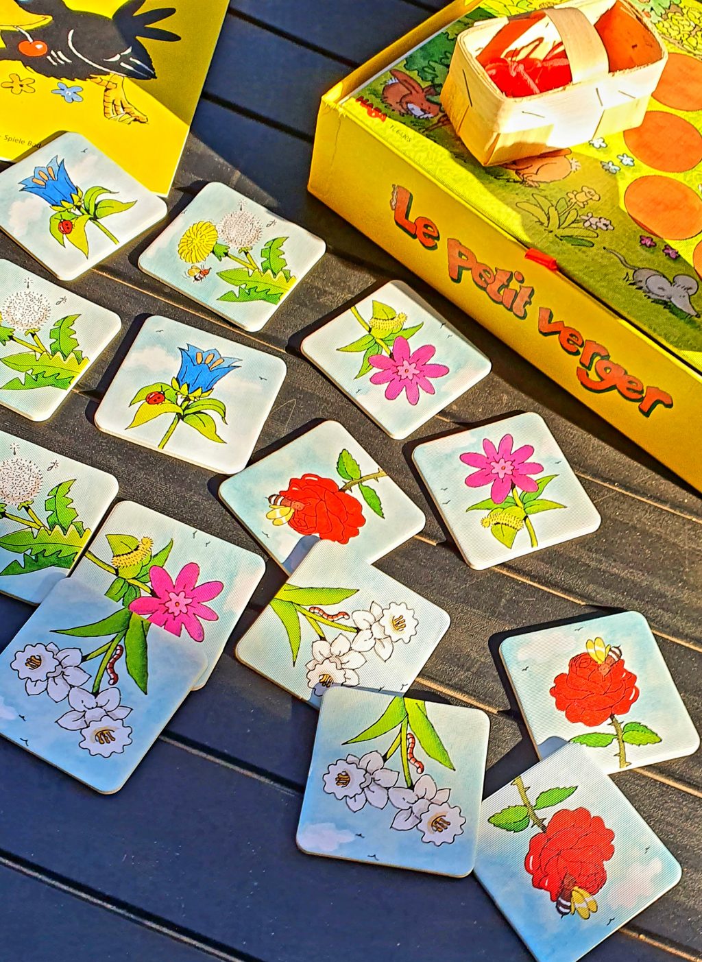 les fleurs Plateau Marmots