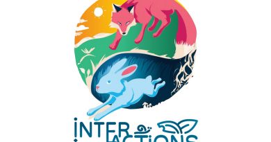 Avec Opla, faites le plein d&rsquo;Interactions